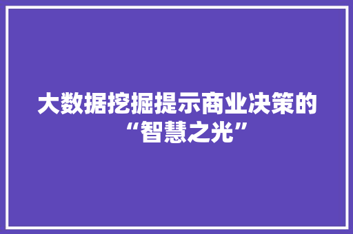 大数据挖掘提示商业决策的“智慧之光”