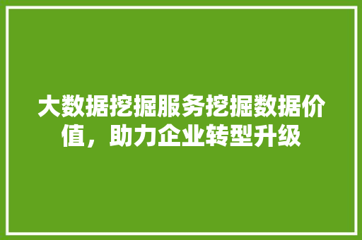 大数据挖掘服务挖掘数据价值，助力企业转型升级