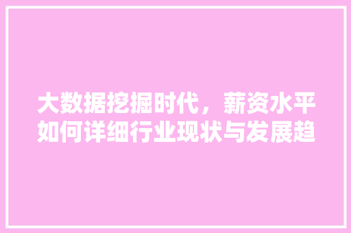 大数据挖掘时代，薪资水平如何详细行业现状与发展趋势