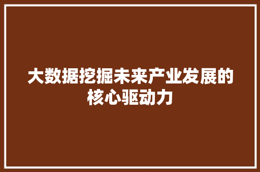 大数据挖掘未来产业发展的核心驱动力