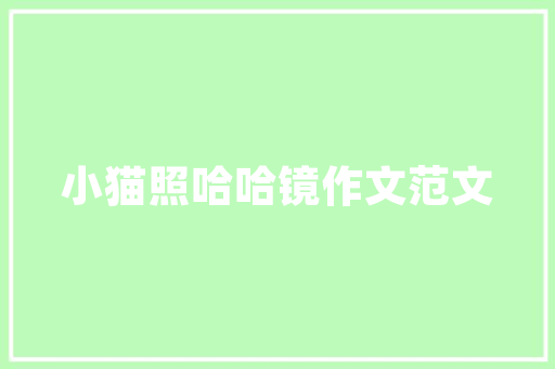 网站设计流程分析,打造高效、优质的网络平台