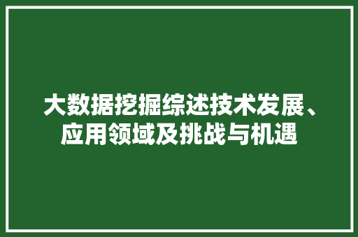 大数据挖掘综述技术发展、应用领域及挑战与机遇