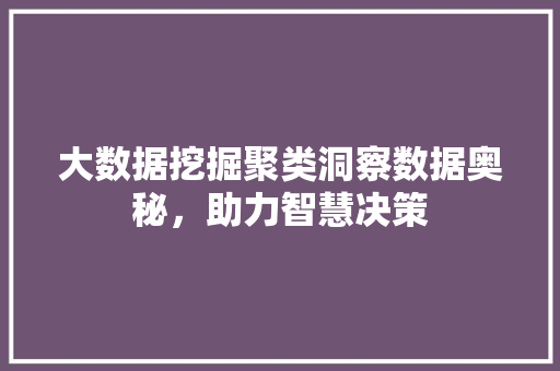 大数据挖掘聚类洞察数据奥秘，助力智慧决策