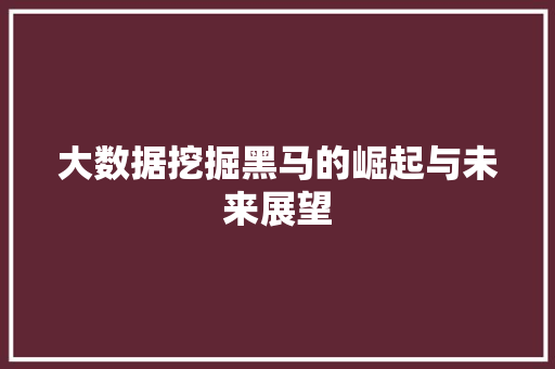 大数据挖掘黑马的崛起与未来展望