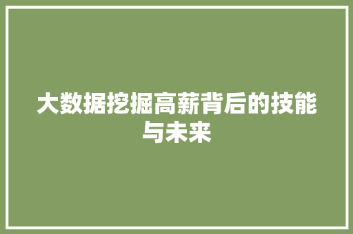 大数据挖掘高薪背后的技能与未来