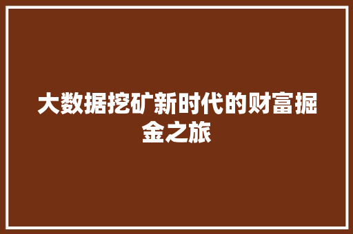 大数据挖矿新时代的财富掘金之旅