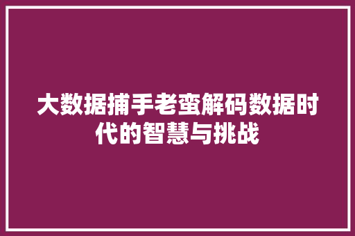 大数据捕手老蛮解码数据时代的智慧与挑战