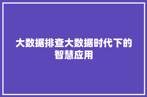 大数据排查大数据时代下的智慧应用