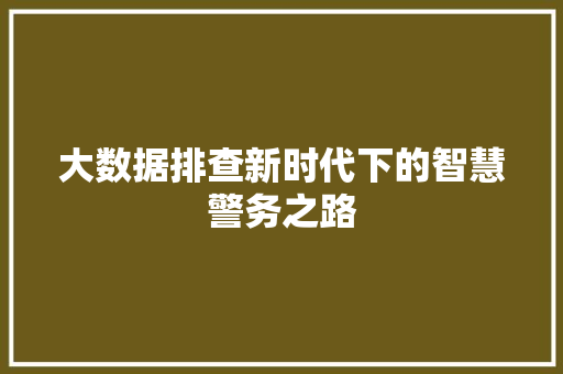 大数据排查新时代下的智慧警务之路