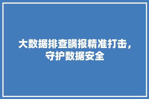 大数据排查瞒报精准打击，守护数据安全