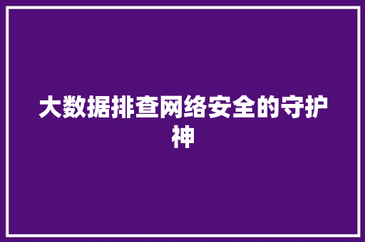 大数据排查网络安全的守护神