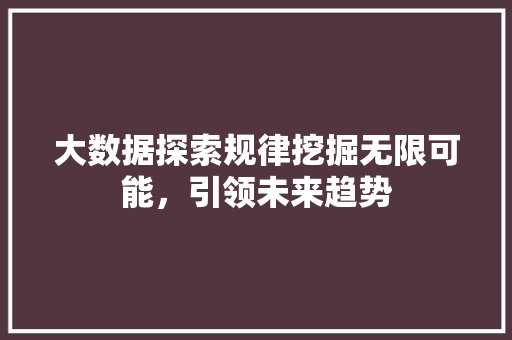 大数据探索规律挖掘无限可能，引领未来趋势