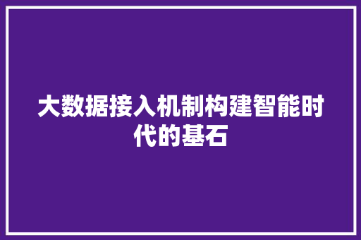 大数据接入机制构建智能时代的基石