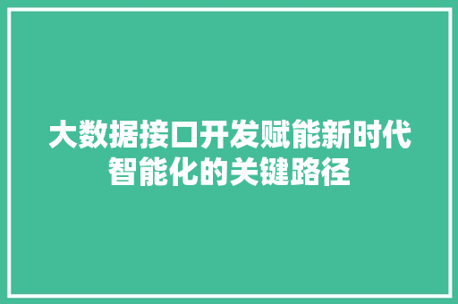 大数据接口开发赋能新时代智能化的关键路径