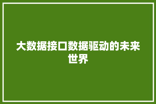 大数据接口数据驱动的未来世界