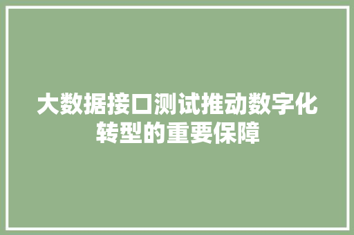 大数据接口测试推动数字化转型的重要保障