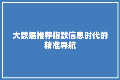 大数据推荐指数信息时代的精准导航