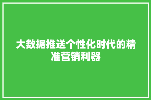 大数据推送个性化时代的精准营销利器