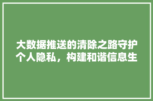 大数据推送的清除之路守护个人隐私，构建和谐信息生态