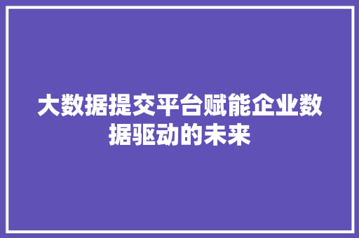 大数据提交平台赋能企业数据驱动的未来
