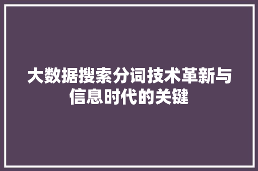 大数据搜索分词技术革新与信息时代的关键