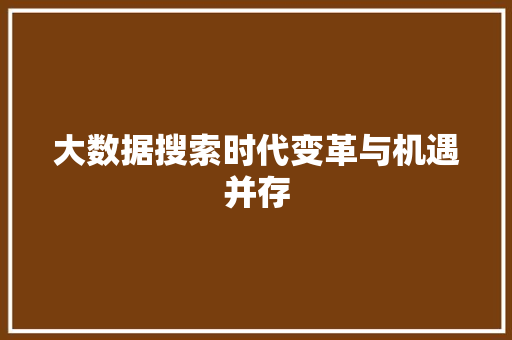 大数据搜索时代变革与机遇并存