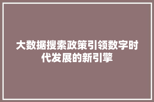 大数据搜索政策引领数字时代发展的新引擎
