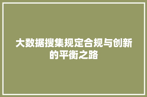 大数据搜集规定合规与创新的平衡之路