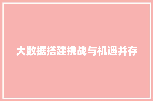 大数据搭建挑战与机遇并存