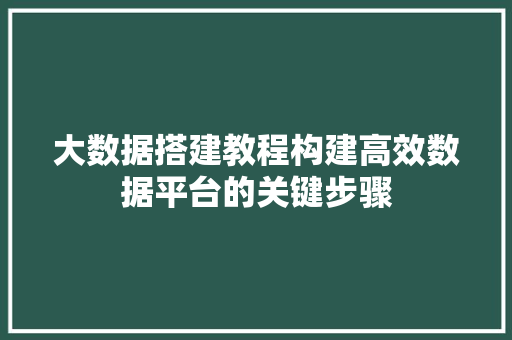 大数据搭建教程构建高效数据平台的关键步骤