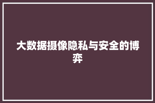 大数据摄像隐私与安全的博弈