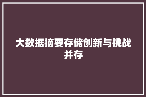 大数据摘要存储创新与挑战并存