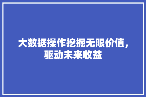 大数据操作挖掘无限价值，驱动未来收益