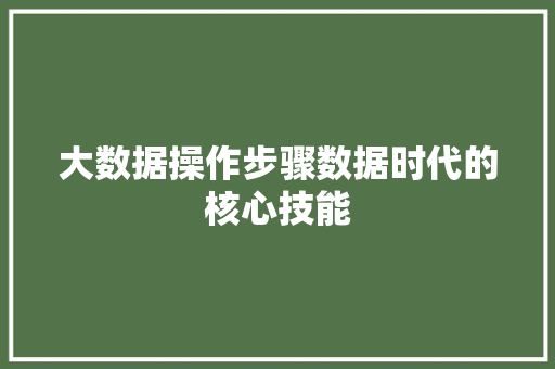 大数据操作步骤数据时代的核心技能