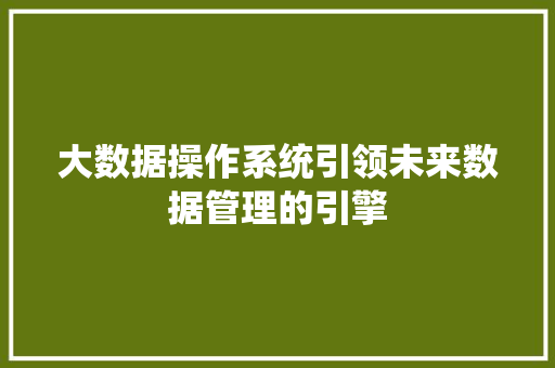 大数据操作系统引领未来数据管理的引擎