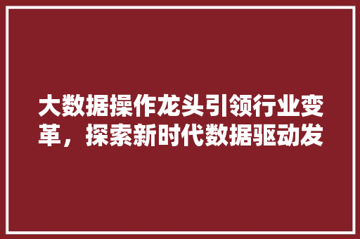 大数据操作龙头引领行业变革，探索新时代数据驱动发展之路