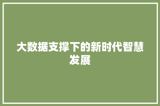 大数据支撑下的新时代智慧发展