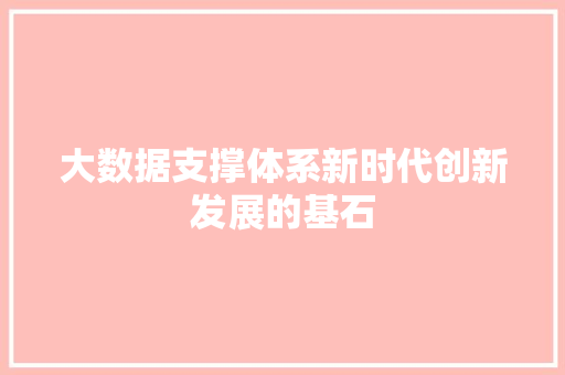 大数据支撑体系新时代创新发展的基石