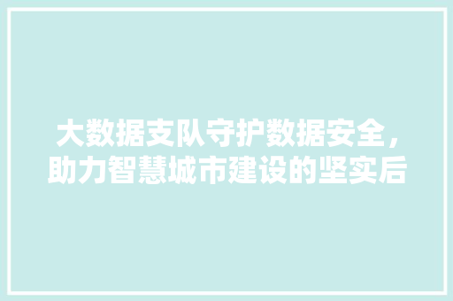 大数据支队守护数据安全，助力智慧城市建设的坚实后盾