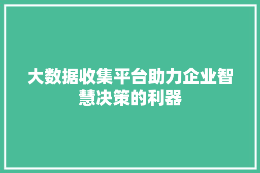 大数据收集平台助力企业智慧决策的利器