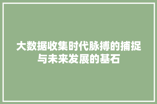 大数据收集时代脉搏的捕捉与未来发展的基石