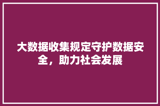 大数据收集规定守护数据安全，助力社会发展 项目报告