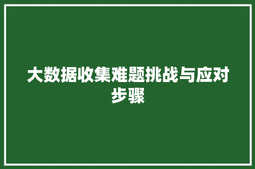 大数据收集难题挑战与应对步骤