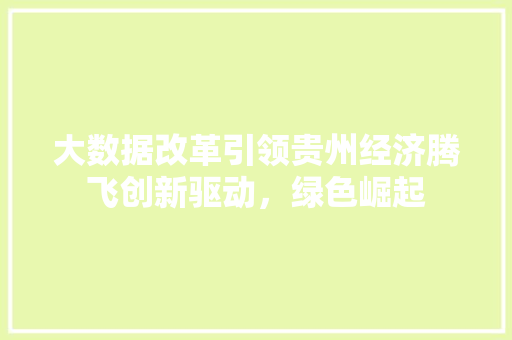 大数据改革引领贵州经济腾飞创新驱动，绿色崛起