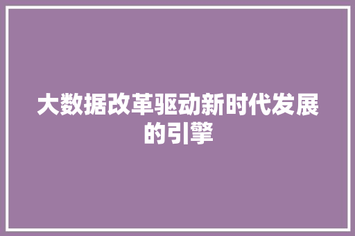 大数据改革驱动新时代发展的引擎
