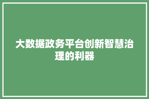 大数据政务平台创新智慧治理的利器