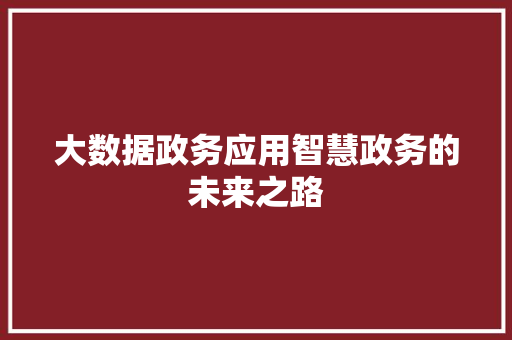 大数据政务应用智慧政务的未来之路