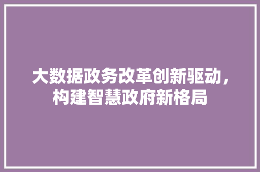 大数据政务改革创新驱动，构建智慧政府新格局