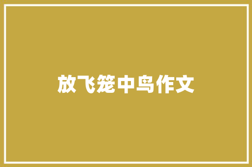 视觉盛宴,网站设计图中的美学与功能并重 前端技术