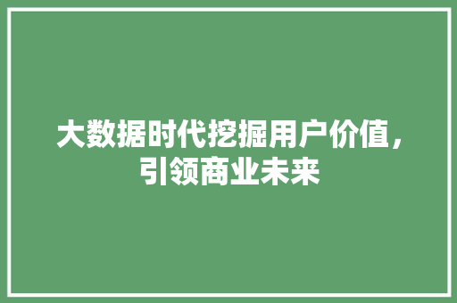 大数据时代挖掘用户价值，引领商业未来